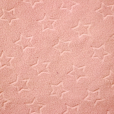 پارچه 210 گرمی Micro Polar Fleece
